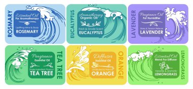 Aromaterapi gerekli yağ paketi tasarımı seti. Organik parfüm ürünü için etiket koleksiyonu, vektör illüstrasyonu. Dalgalı renkli amblem etiketi, spa sıvısı için elle çizilmiş yapraklar