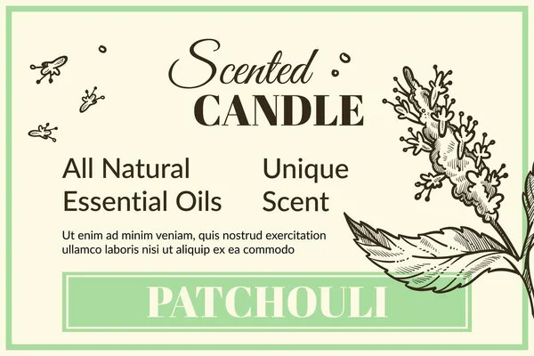Patchouli Scented Candle All Natural Essential Oils Unique Smell Aromatic — Stock Vector