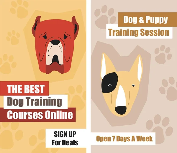 Sessione Formazione Cani Cuccioli Corso Online Insegnare Nuovi Trucchi Iscriviti — Vettoriale Stock