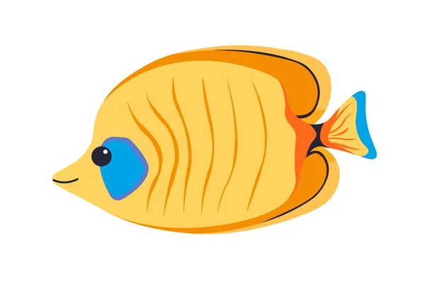Marine Aquatic Animal Isolated Oscar Fish Prolonged Nose Tail Fins — Wektor stockowy