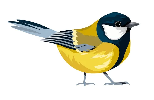 Renkli Tüylü Küçük Vücutlu Songbird Kuşları Tüyleri Pençeleri Gagası Olan — Stok Vektör