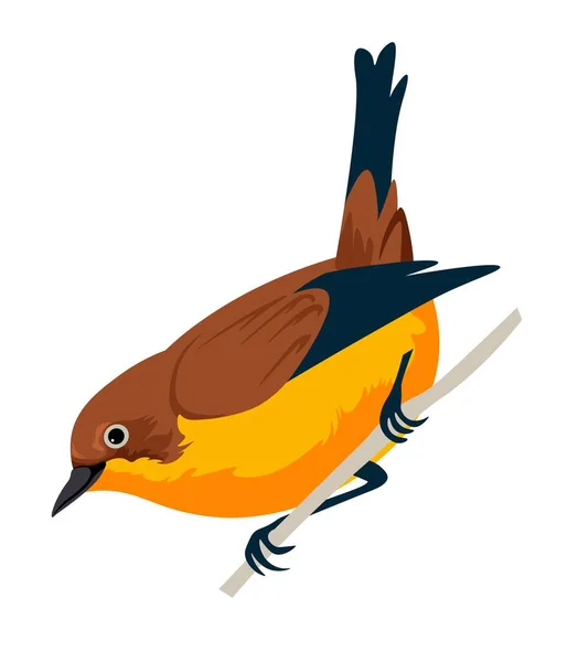 Dallarda Oturan Kuş Yalıtılmış Kuş Vahşi Doğası Doğa Türleri Renkli — Stok Vektör