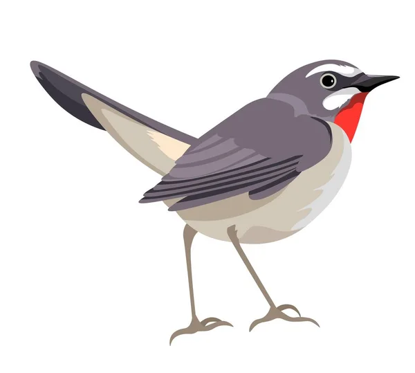 Fågel Med Färgglada Fjäderdräkter Och Fjädrar Isolerat Porträtt Söt Karaktär — Stock vektor
