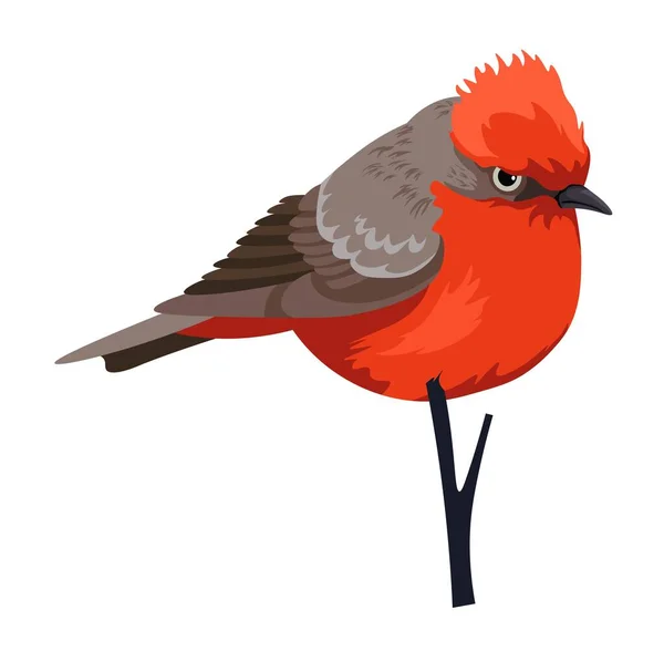 Vücudunda Kırmızı Tüyleri Olan Bir Kuş Portresi Dalda Oturan Izole — Stok Vektör
