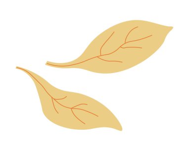 Sonbaharda ya da sonbahar ya da sonbahar mevsiminde bitki ya da ağaç yaprakları. İzole edilmiş yaprak sarısı ve kuru. Doğa ve bitki örtüsü. Çiçeklerin ve çiçeklerin çeşitliliği. Düz biçimli vektör