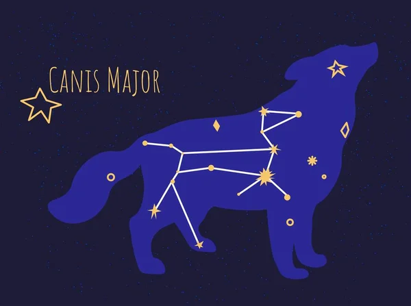Stjärnbildning Hund Isolerad Konstellation Canis Major Mörk Himmel Astronomi Utforskning — Stock vektor