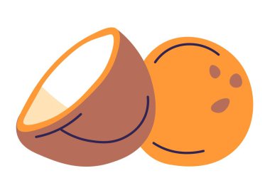 Palmiyeden hindistan cevizi tohumu, ikiye bölünmüş fındık. İzole edilmiş tropikal ve egzotik meyveler ve yiyecekler, sert kabuk ve beyaz et, temiz sıvı. Yemek ve yemek malzemeleri. Düz biçimli vektör