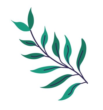 Egzotik yeşillikler, yapraklar, izole edilmiş tropikal botanik süslemeleri. Yeşillik dallı ya da dallı. Yağmur ormanı ve orman, orman veya bitki süsü. Düz biçim illüstrasyonunda vektör