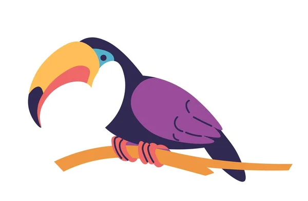 Toekan Zittend Takken Geïsoleerde Tropische Dieren Vogels Van Exotische Gebieden — Stockvector