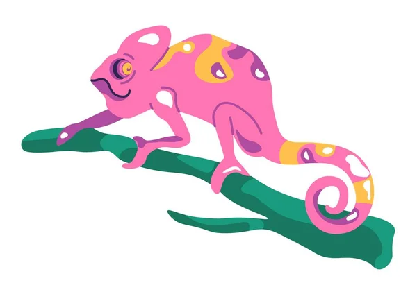 在树枝上的蜥蜴 孤立的变色龙坐在树枝上 热带动物和爬行动物改变颜色 异族动物 动物园或自然栖息地的生存 平面样式插图中的向量 — 图库矢量图片