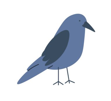 Crow with blue plumage and feathers, isolated raven portrait. A cute personage of woods or forest, fauna and nature, avian animals and species, wilderness. Vector in flat style illustration