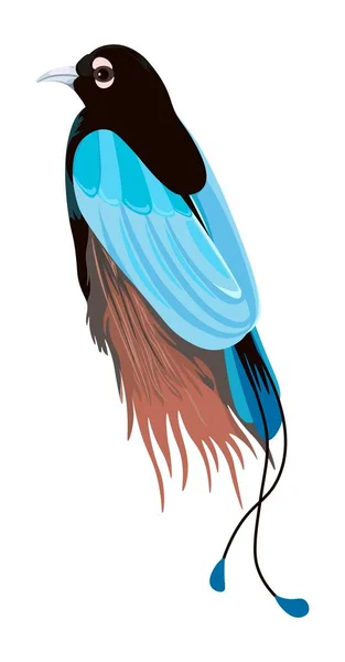 Tropical Avian Animal Isolated Exotic Bird Colorful Plumage Zoology Ornithology — Stockvektor