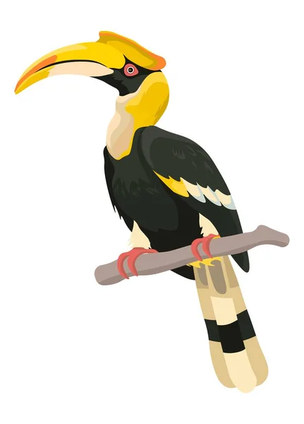Tropical Avian Animal Portrait Isolated Exotic Animal Curved Beak Sitting — Stok Vektör