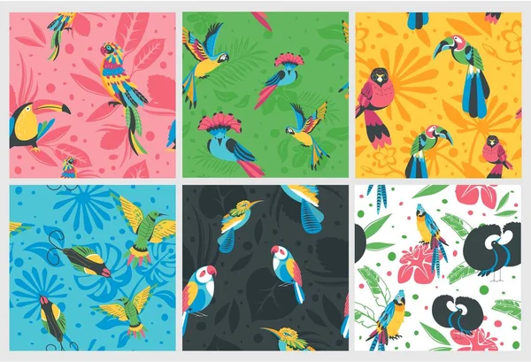 Exotische Vogeldekoration Muster Design Set Dekorative Hintergrundsammlung Mit Farbenfrohen Natürlichen — Stockvektor