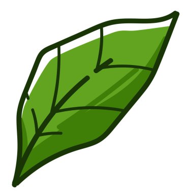 Büyüyen bitki yaprağı, izole edilmiş botanik ikonu. Yaz ya da bahar bitkisi, bahçıvanlık ya da ekin. Çalı ya da dalın tazeliği. Tropik ya da bitkisel egzotik yapraklar. Ev bitkisi çalılığı, düz biçimli vektör