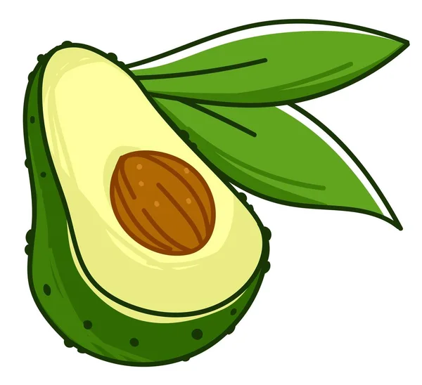 Exotic Vegetable Peel Seed Leaves Isolated Icon Avocado Nutritious Tasty — Stock Vector