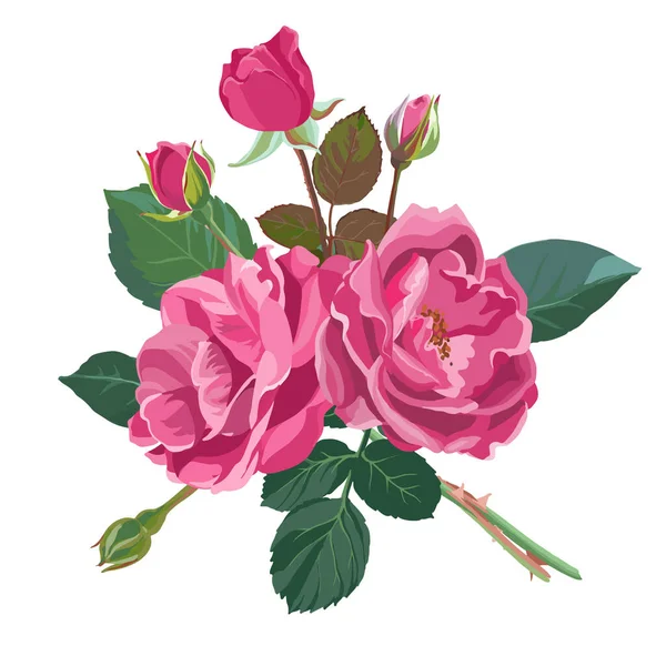 Roses Pivoines Fleurs Fleurs Isolées Fleurs Fleuriste Florissant Composition Avec — Image vectorielle