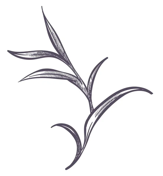 Цветок Листьями Минималистская Флора Длинными Листьями Изолированный Тропический Экзотический Букет — стоковый вектор