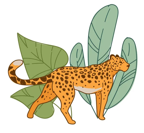 Жилище Плотоядных Животных Живущих Зоопарке Саванне Изолированный Леопард Пятнами Мехе — стоковый вектор