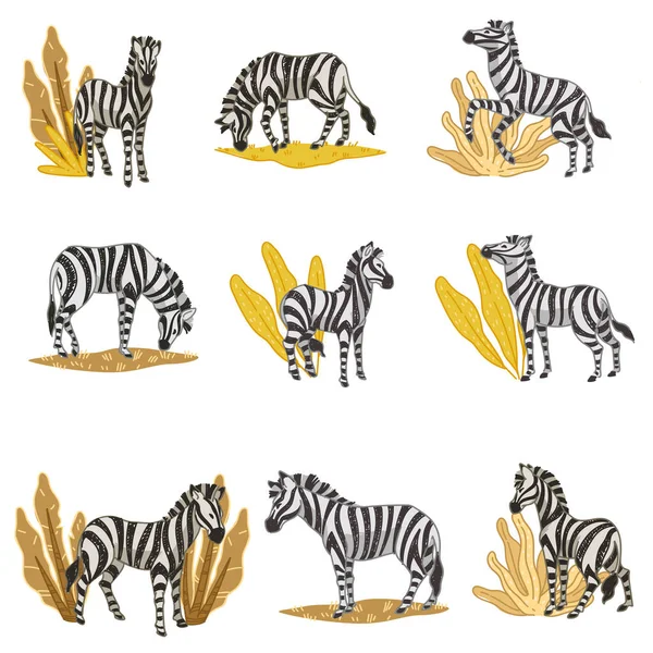 Natürlicher Lebensraum Von Zebras Isolierten Tieren Die Blütenblätter Und Pflanzen — Stockvektor