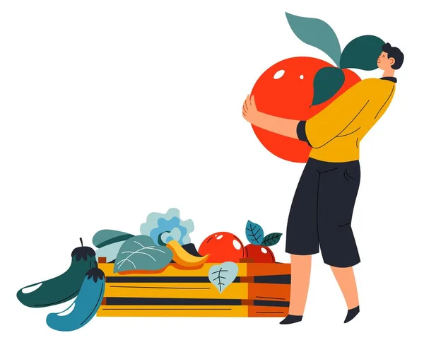 畑やプランテーション 隔離された園芸や農業から熟した野菜を集める男性キャラクター 木のバスケットにトマトとオバージンの男 屋外で働いてる 平型ベクトル — ストックベクタ