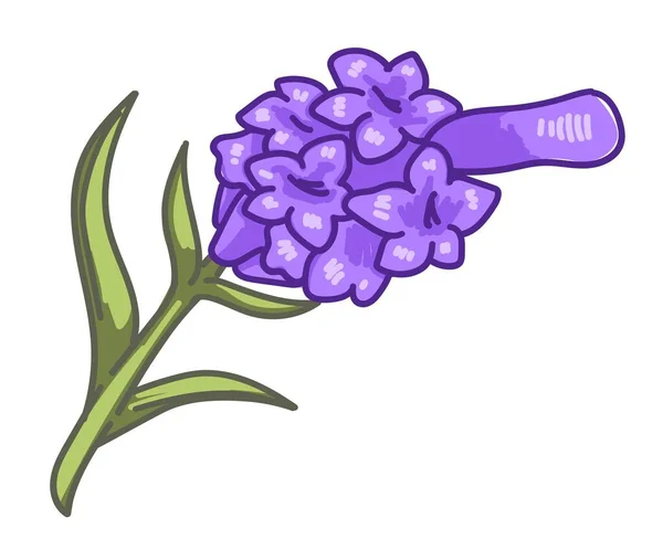 Fleur Avec Floraison Lilas Floraison Printemps Été Plante Isolée Icône — Image vectorielle