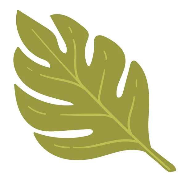Exotic Foliage Decoration Isolated Icon Monstera Leaf Leafage Botany Stylish — Stock Vector