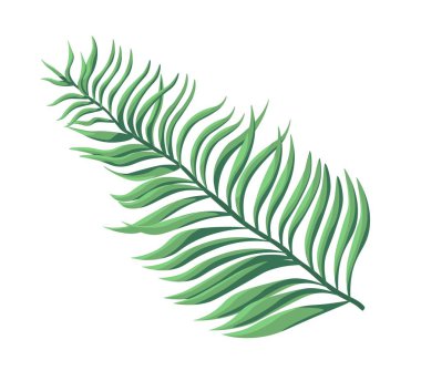 Egzotik eğreltiotu çiçeği, yemyeşil ve yapraklar. İzole edilmiş ev bitkisi ya da tropik botanik dekorasyonu. Çiçek çalıları ya da yeşil yapraklı dallar. Yağmur ormanları ya da orman dekorasyonu. Düz biçimli vektör