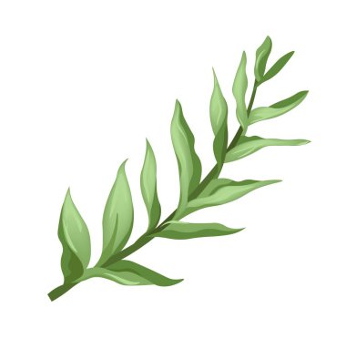 Vahşi yaşam çiçekleri ve dalları, izole edilmiş egzotik bitki örtüsü ve tropikal tasarım. Ev bitkileri ya da yağmur ormanları, park ya da doğa. Yeşillik ve yapraklarla dolu bir dal. Düz biçim illüstrasyonunda vektör