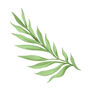 Egzotik ya da tropikal yaprak yaprakları dizaynı, yaprak yapraklı izole bir dal. Doğanın ve vahşi doğanın yaprakları, vahşi ev bitkileri ve yağmur ormanları için yemyeşil alanlar. Düz biçimli vektör