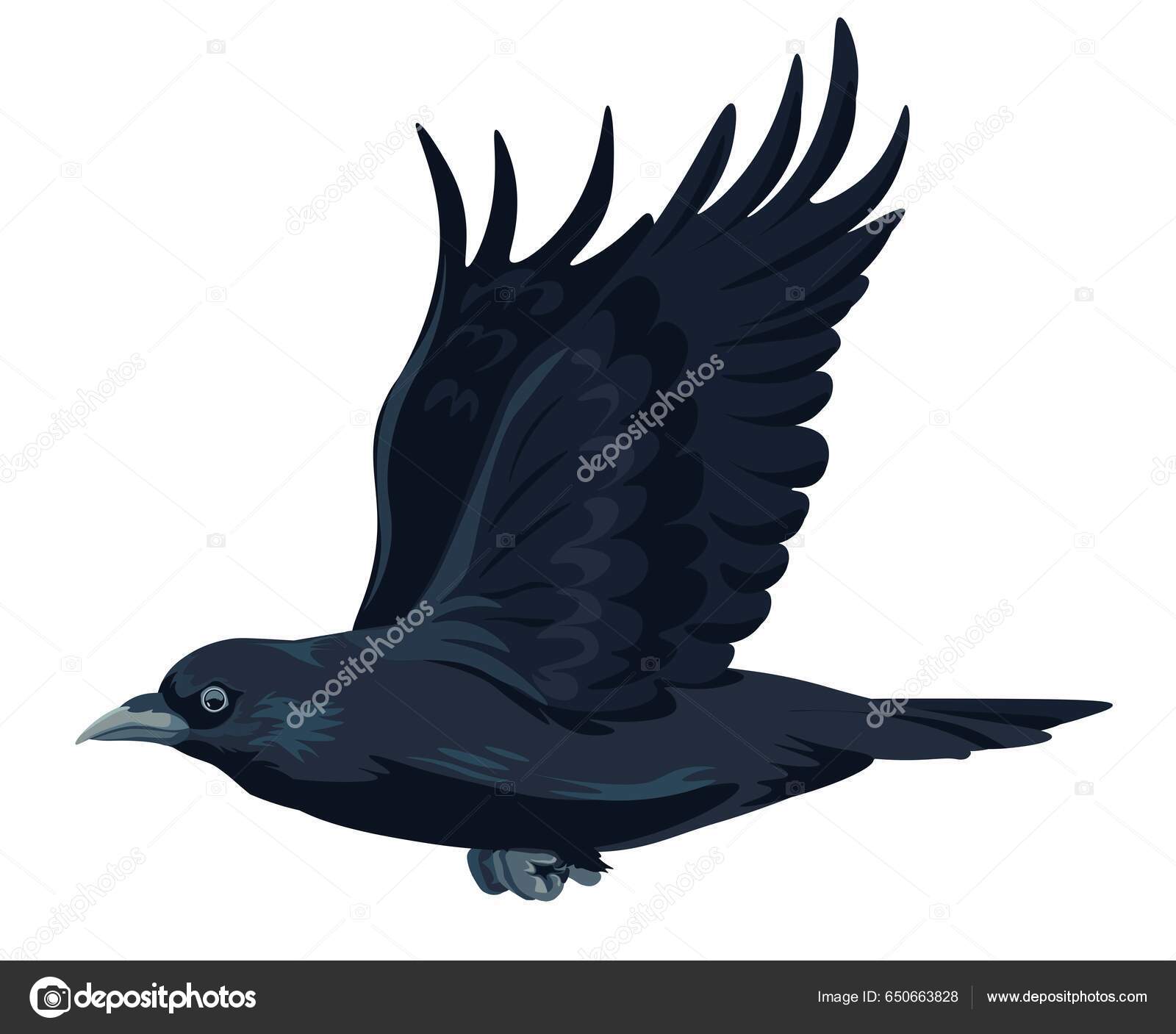 動きに広がる翼を持つカラスやカラス 爪やくちばしで大きな黒い鳥を飛んで隔離された 森や森の動植物多様性 鳥の動物 ルックと自然 平型ベクトル  ストックベクター ©Sonulkaster 650663828, image size:1600x1407