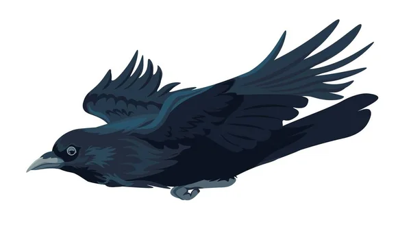 Летучий Ворон Ладья Птица Изолированная Большая Чёрная Птица Расправленными Крыльями — стоковый вектор