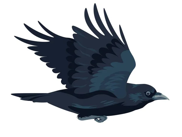 Ворон Ворон Движении Изолированные Летающие Большие Черные Птицы Расправленными Крыльями — стоковый вектор