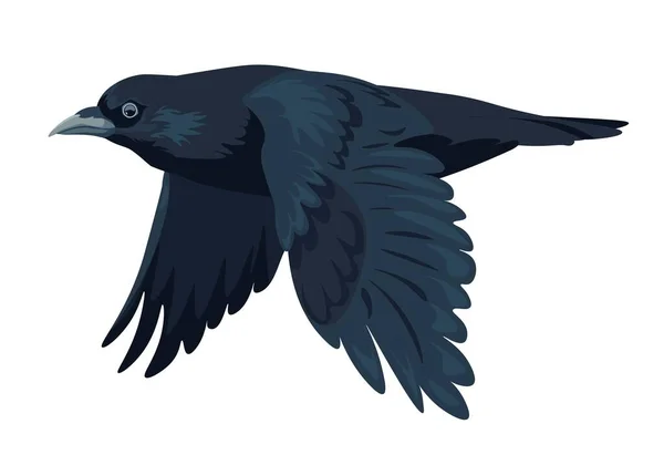 羽ばたき翼を持つカラス 羽を持つ孤立した大きな黒い鳥ときれいな羽 森や森 鳥やルックの生物多様性 自然生息地でクラウン 平型ベクトル — ストックベクタ