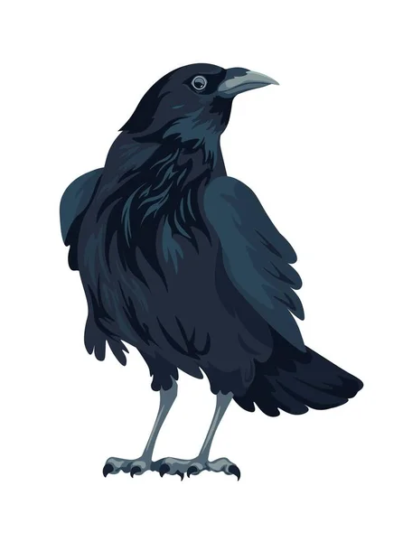 レイヴンか 孤立した大きな黒い鳥に座っていた 鋭いくちばしや爪 森や森の生息地の生物多様性や動物とカラス 野生動物や鳥の野生動物 平型ベクトル — ストックベクタ