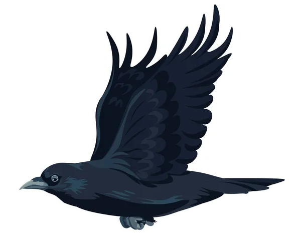 動きに広がる翼を持つカラスやカラス 爪やくちばしで大きな黒い鳥を飛んで隔離された 森や森の動植物多様性 鳥の動物 ルックと自然 平型ベクトル — ストックベクタ