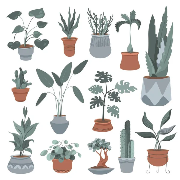 Zimmerpflanzen Dekoration Töpfen Isolierte Topfpflanzen Mit Blättern Und Laub Grüne — Stockvektor