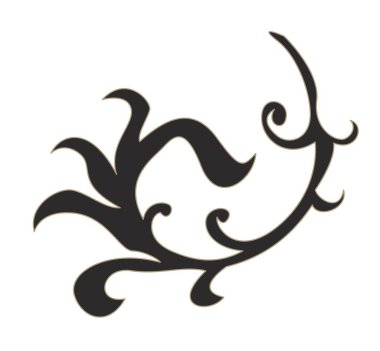 Paisley dalı ya da dal, çiçek sapı ya da yaprak. İzole doğa ve kır çiçekleri bitki örtüsü, botanik biyolojik çeşitliliği ve bitki süslemesi. Girdaplı bitki, doğal süs. Düz biçimli vektör