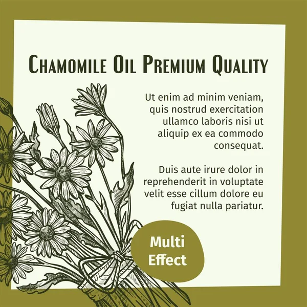 Organic and natural chamomile oil, premium quality product for medicine and cosmetics. Ingredients for treatment and spa salon procedures for skin wellness. Fragrant therapy. Vector in flat style