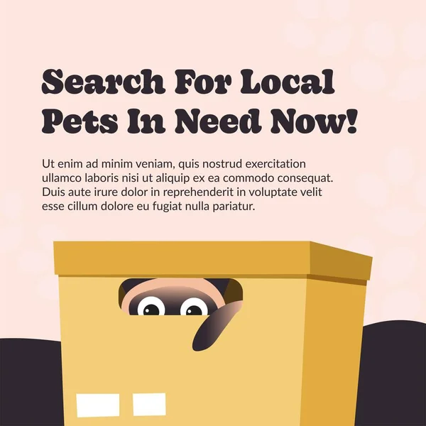 Haustiere Ihrer Nähe Finden Sie Lokale Hunde Und Adoptieren Begleiter — Stockvektor
