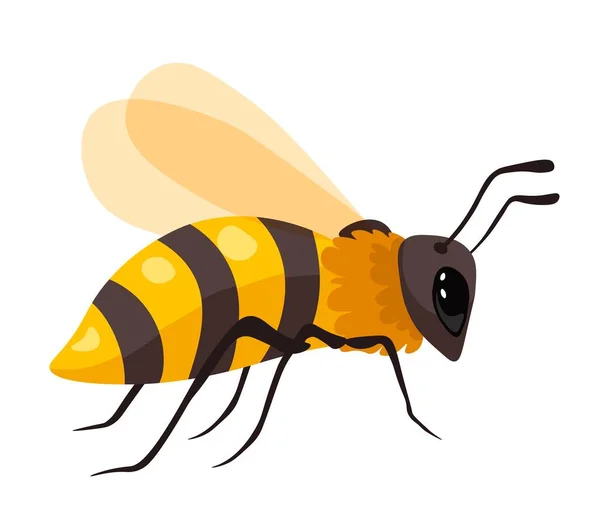 Honigbiene Mit Flügeln Und Streifen Körper Isolierte Imkerei Und Bienenhaltung — Stockvektor