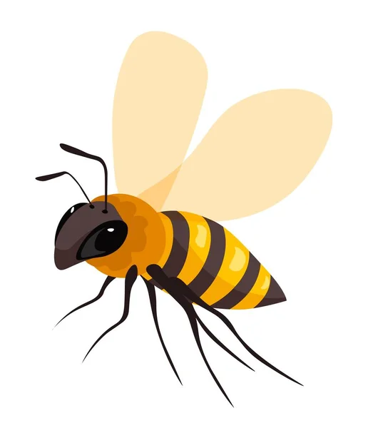Pszczelarstwo Hodowla Odizolowany Owad Pszczeli Skrzydłami Pyskiem Ładna Osobowość Pasieki — Wektor stockowy