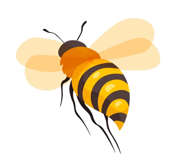 Pszczoła Miodna Zbliżeniu Izolowane Owady Pszczół Skrzydłami Nogami Kolorowe Ciało — Wektor stockowy