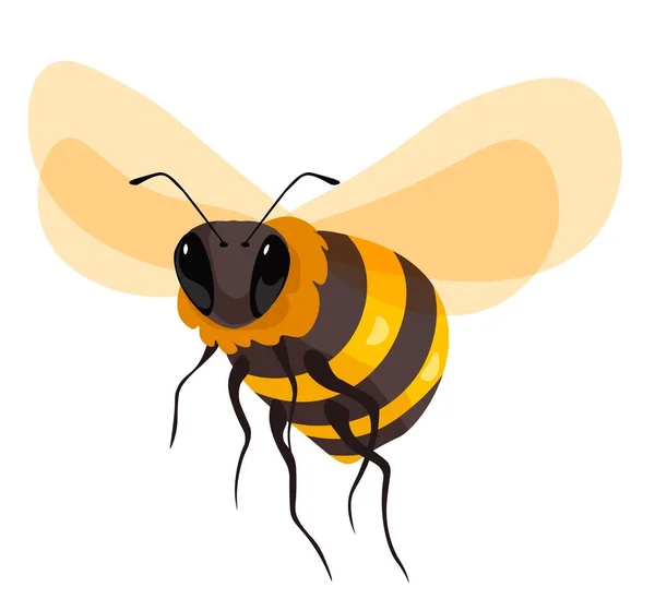 Honingbij Insect Met Vleugels Snuit Geïsoleerd Portret Van Het Dier — Stockvector