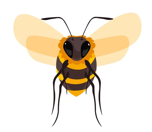 Bienengarteninsekt Mit Flügeln Und Niedlichen Beinen Isolierte Biene Oder Wespe — Stockvektor