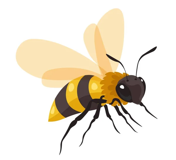 Pszczoła Miodna Produkuje Słodki Nektar Miód Izolowane Pasieki Pszczoła Mieszkaniec — Wektor stockowy