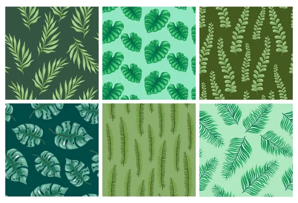 エキゾチックな植物要素を持つ背景装飾 装飾パターンセット ベクトルイラストで熱帯自然植物 夏の新鮮な葉とシームレスなバナーコレクション 自然デザイン — ストックベクタ