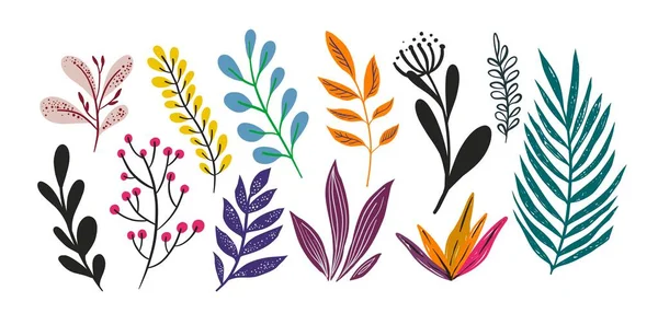 Φύλλα Δέντρων Φυτών Απομονωμένη Ποικιλία Φυλλωμάτων Σιλουέτες Και Πολύχρωμη Τέχνη — Διανυσματικό Αρχείο
