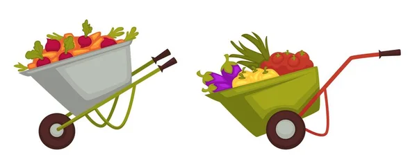 Kruiwagens Met Groenten Fruit Geïsoleerde Oogstseizoensproducten Natuurlijke Ingrediënten Bieten Wortels — Stockvector
