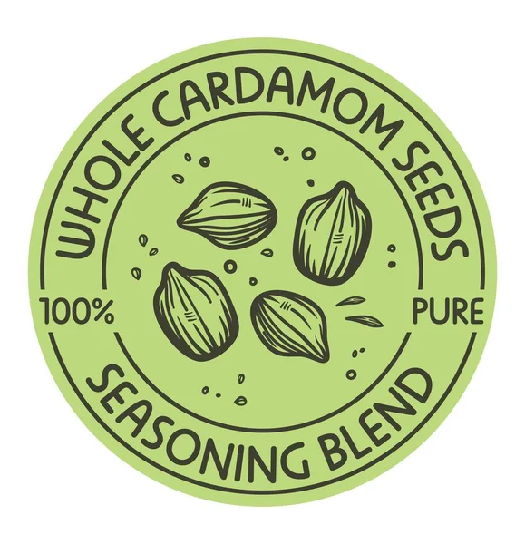 Pure Organic Whole Cardamom Seeds Seasoning Blend Dishes Tasty Meals — Stock Vector